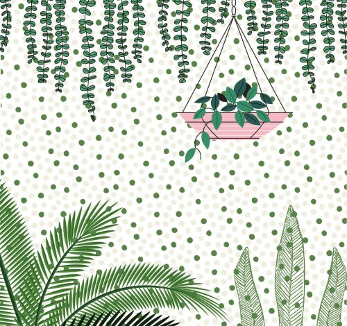 plants-5379479_1920 (2)